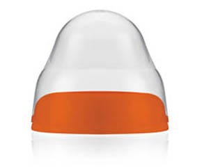 �����ǌ��ڏ���ƿ�w�Æ���