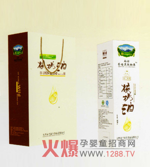 ���t�������ӳ������� �͜؉�ե��ȫ�I�B(y��ng)