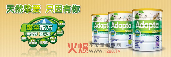 Adapta���׃��̷� ��I�B(y��ng)���P��