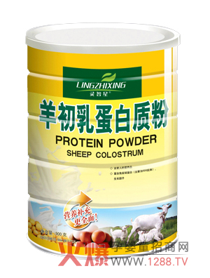 �`������鵰���|�� �o���������ӷ�