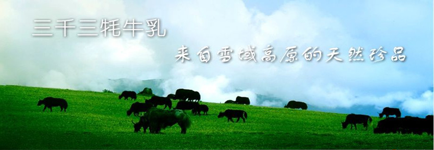 ��ǧ����ţ�����̲��