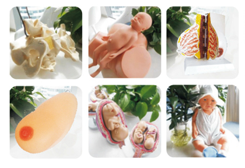 快樂(lè)孕育孕婦學(xué)校教學(xué)用具