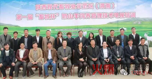 �׌á�����������ɽ����B(y��ng)�������g�ҕ��Ӗ����A�M��Ļ