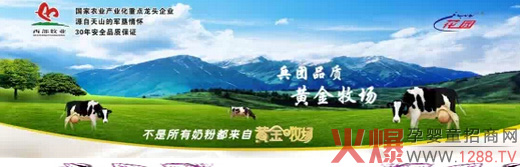 �S������(ch��ng)�냺�̷ۼ���ʢ�b����2015�Ϻ���ͯչ