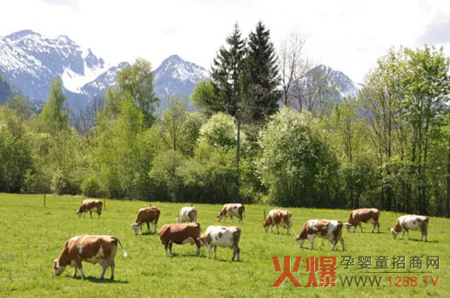 ؐ�|��һ�����������ЙC(j��)�̷�