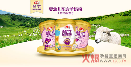 ������ʲô���ۺȺ��ϻ������̷���