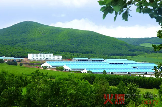 �l(f��)չ��(sh��)�w��(j��ng)��(j��)�����_(d��)ɽ���Є�(d��ng)��