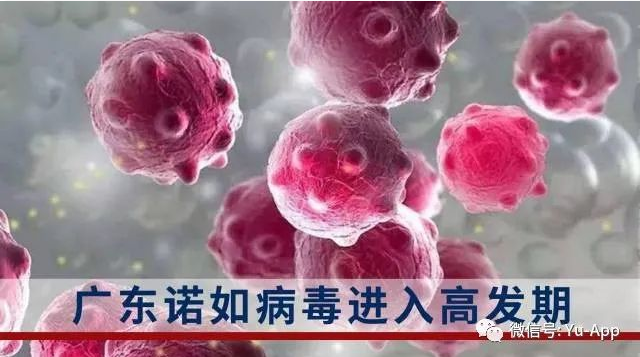 0d3e71e56d1b3d610f1c0aaed12a378.png 0d3e71e56d1b3d610f1c0aaed12a378.png