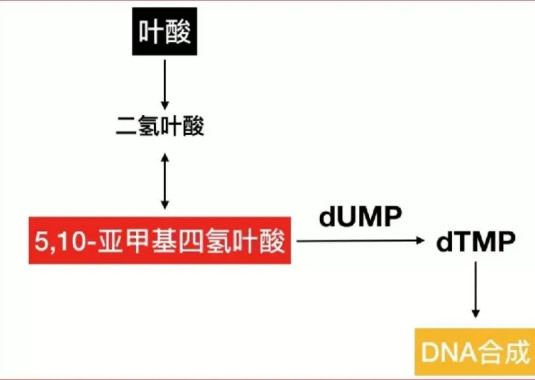 2023122617182147887.jpg 2023122617182147887.jpg