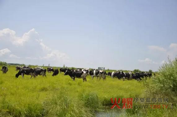 ���_(d��)ɽ�̷۞�Ε�(hu��)�ܵ��@ô���˵�ϲ�ۣ�