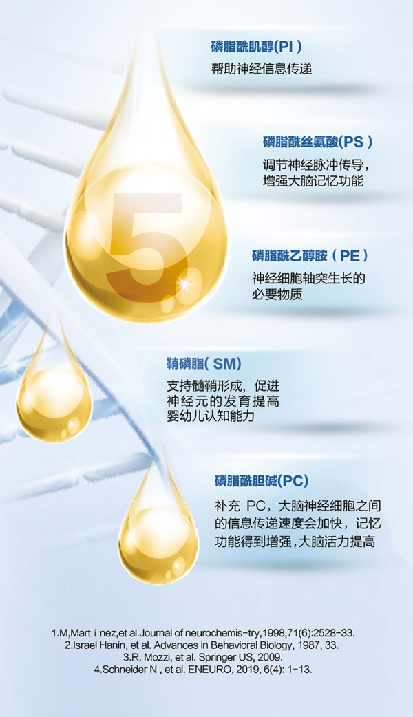   ؐ������Խ�׃��䷽�̷�(12-36���g��3��)4