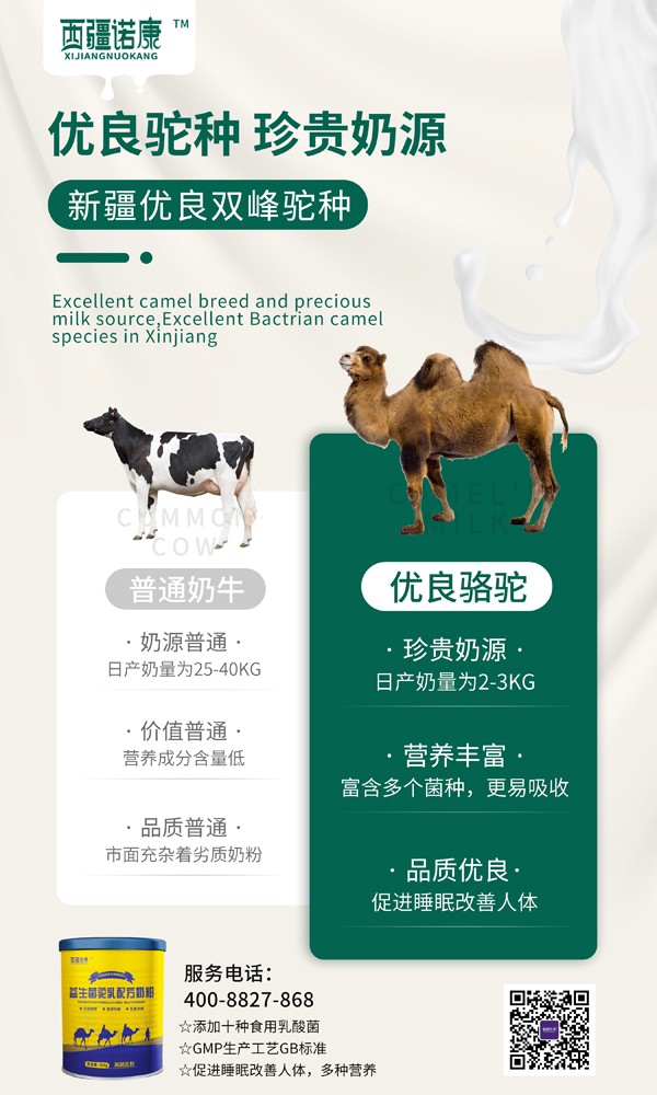 西疆諾康益生菌駝乳配方奶粉3