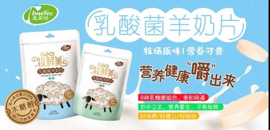 ����������Ƭ��������ʲôħ����������