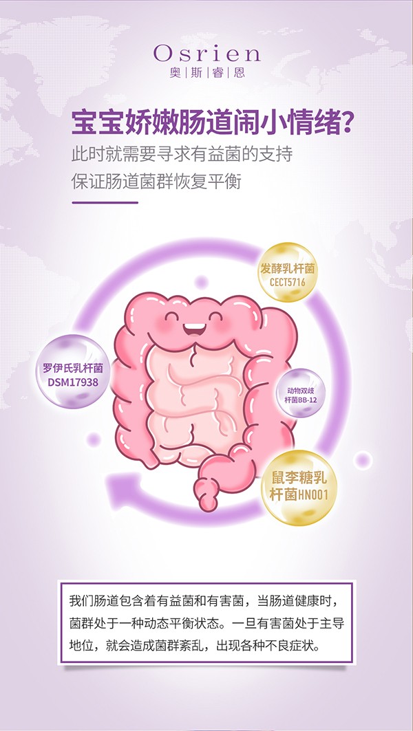 奧斯睿恩復(fù)合型益生菌滴劑小紫瓶詳情_(kāi)06.jpg