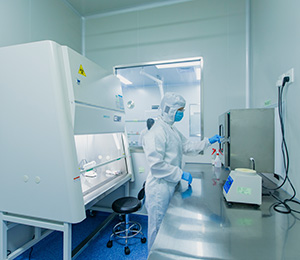  ��������S19