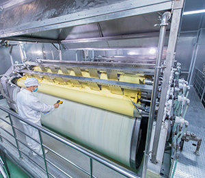  ��������S31