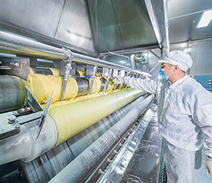  ��������S29