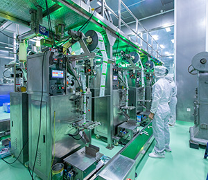  ��������S12