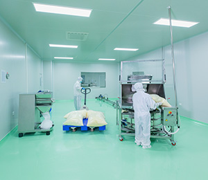  ��������S1