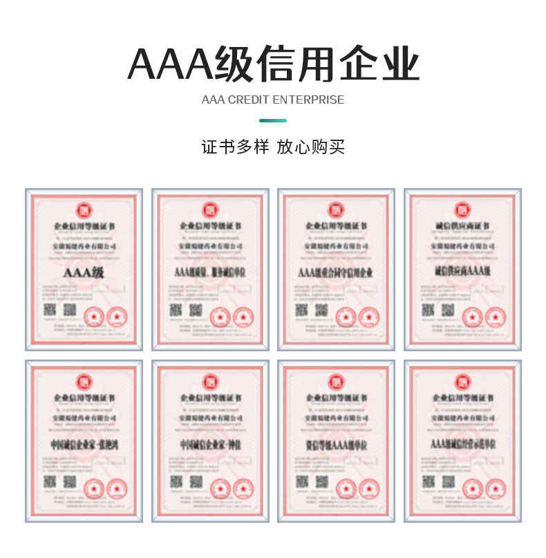 安徽佳洪 (7).jpg