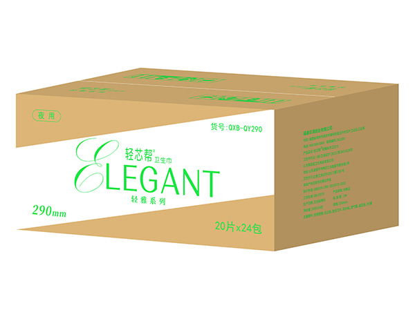 輕芯幫輕雅系列衛(wèi)生巾290mm20片24包.jpg