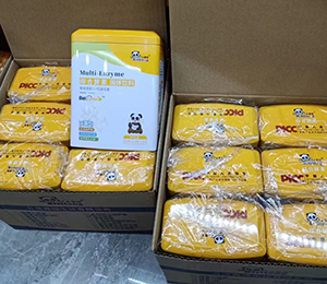  �ػ��� ʥ�Z�ܠI(y��ng)�B(y��ng)Ʒ��ЈD25