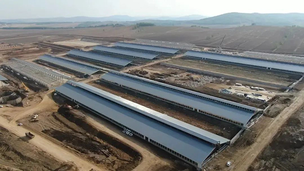 譜華威乳業(yè)集團奶牛養(yǎng)殖牧場第三批奶牛入園成功4.jpg 譜華威乳業(yè)集團奶牛養(yǎng)殖牧場第三批奶牛入園成功4.jpg