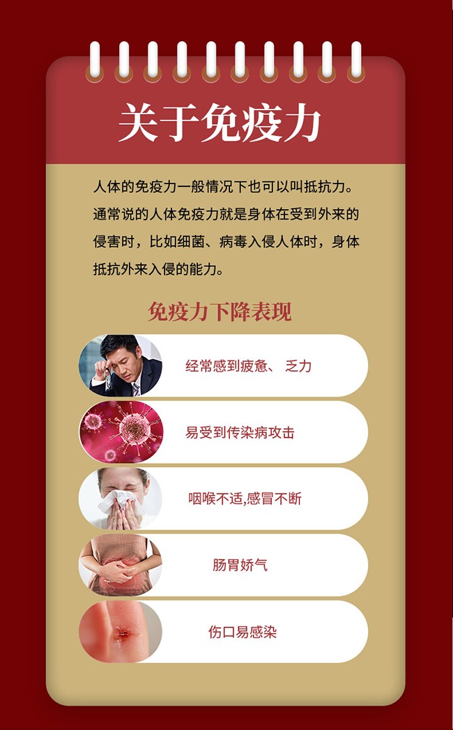 南京同仁堂樂家遐齡牌破壁靈芝孢子粉詳情 (10).jpg