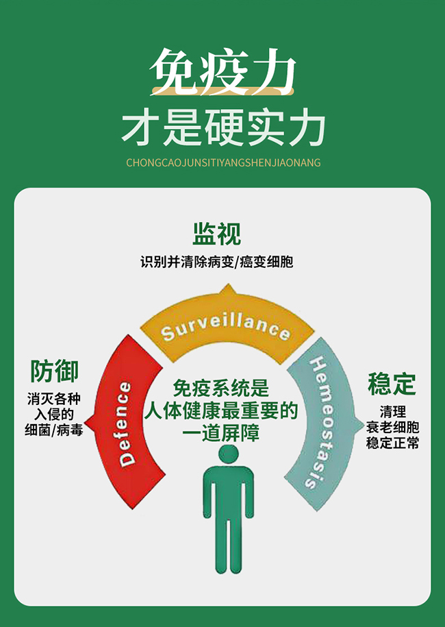 仕強(qiáng)戈樂(lè)家老鋪蟲(chóng)草菌絲體洋參膠囊詳情 (2).jpg