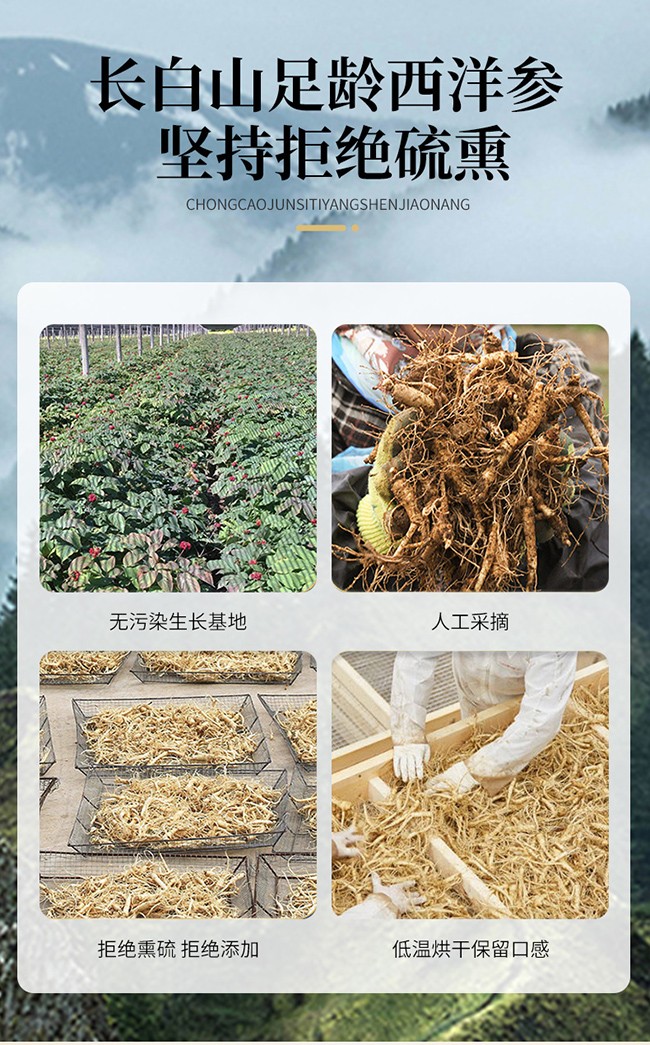 仕強(qiáng)戈樂(lè)家老鋪蟲(chóng)草菌絲體洋參膠囊詳情 (6).jpg