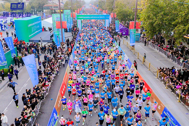 �f(w��n)�˹������������R����̩��I(y��)��2024���(y��ng)����(gu��)������R����ِ�A�M�ɹ���