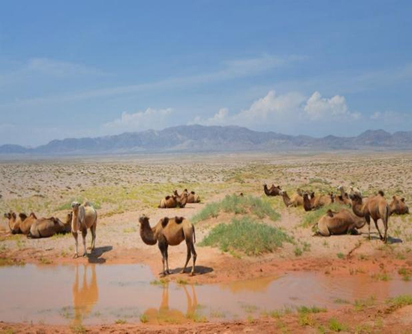 ���ƽz�ĸ�댣�������\(ch��ng)�д����̣���ģʽ���´򷨣����o(h��)ȫ�ҽ������\(ch��ng)�����ļ�����