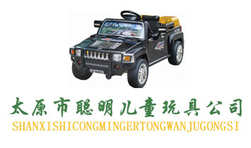 ̫ԭ������ͯ��߹�˾