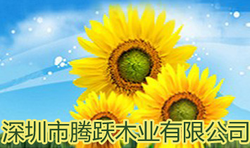 �������v�Sľ�I(y��)���޹�˾