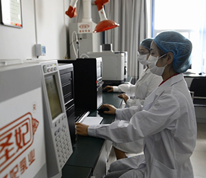 �|�z���Č����