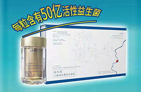 ǻ�|������������Ƭ�ǹ�