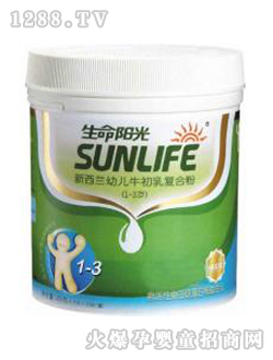 ����ꖹ��׃�ţ�����