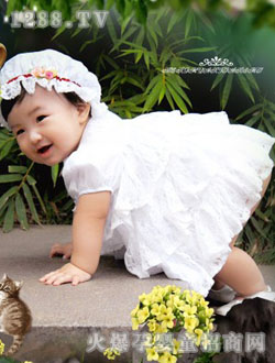 ֥���_�T�zӰ�{(di��o)Ƥ����