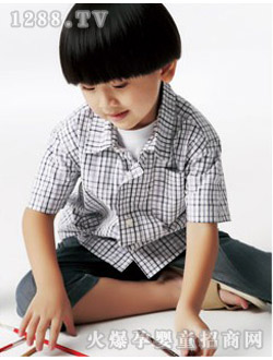 �t�S�{(l��n)2010���b�r�и�y