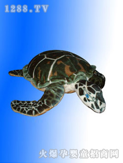 ���ҷ�����ߴ���