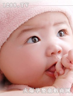 ���������֌���