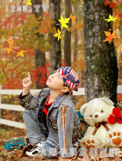 ����r(sh��)������Ĺ���