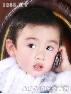 �ɐی���������Ƭ