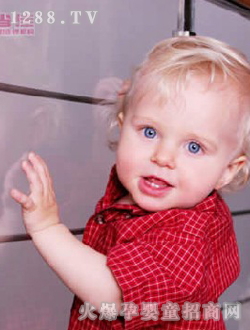 С�������߱�������