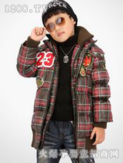 ��(��i)����t���p�������q��