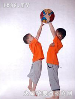 �ƿ��������b-05