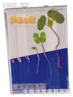 ؐ�޻����Lʷ�̾�