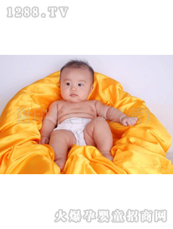 �n�n��������CB