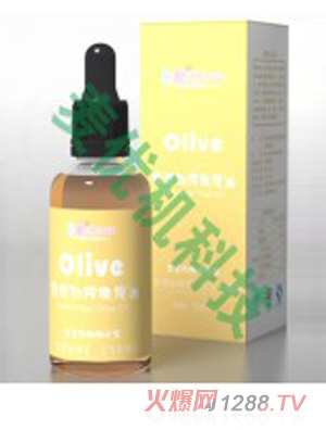 ��ی�������I(y��ng)�B(y��ng)���ؼ�(j��)��ե�ϙ���