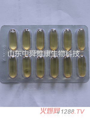 ������~��ܛ�z��12��